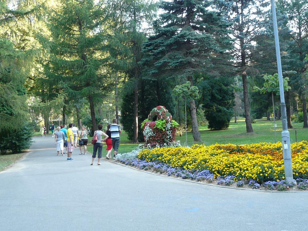 Villa Asturia Rymanów-Zdrój Esterno foto