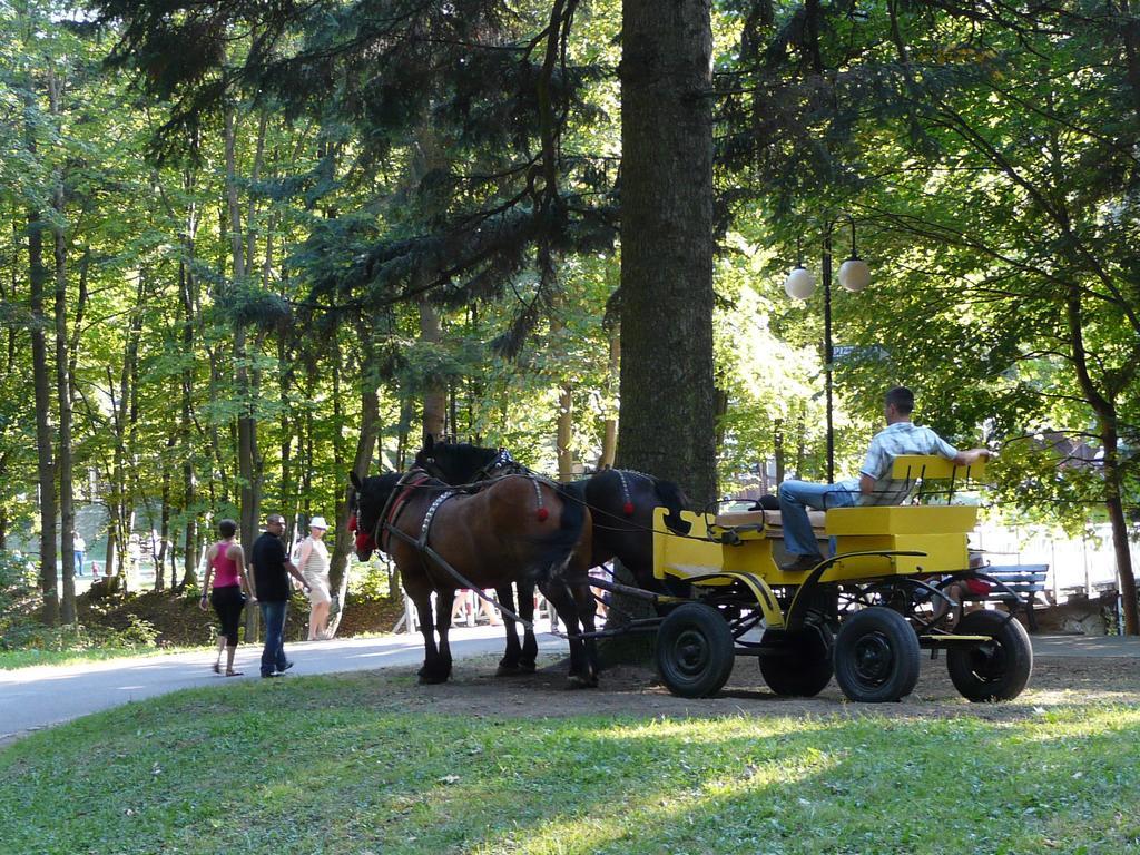 Villa Asturia Rymanów-Zdrój Esterno foto